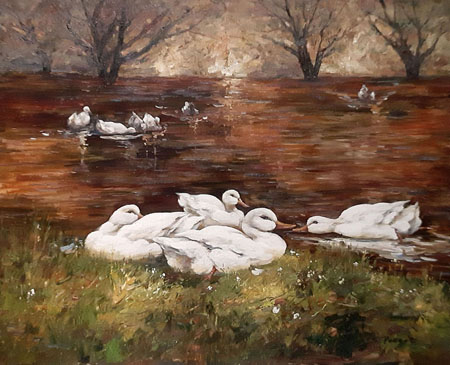 2112-T2 | 50cm x 61cm | canards dans une rivière 